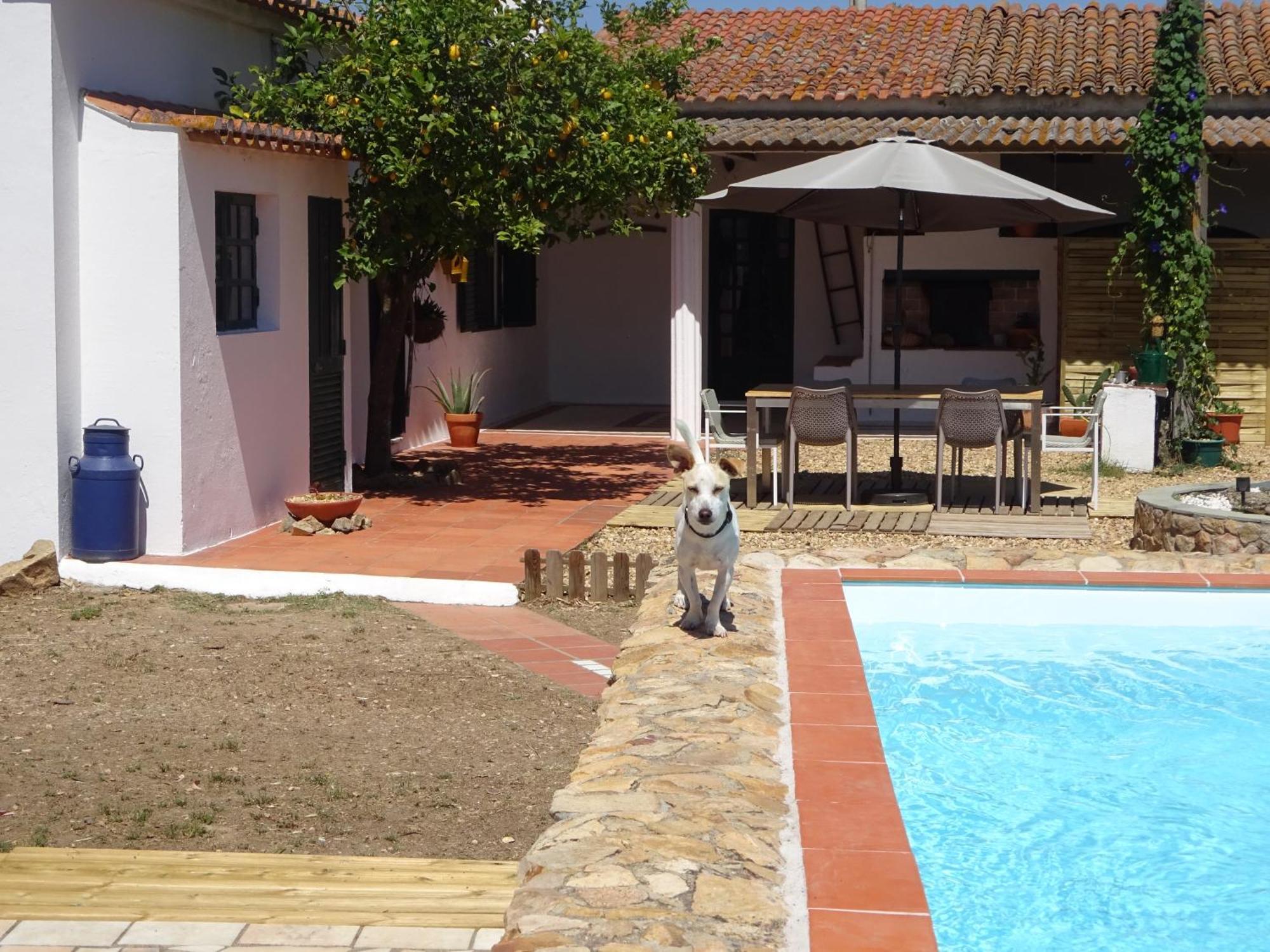 New Village Vila Nova da Baronia エクステリア 写真